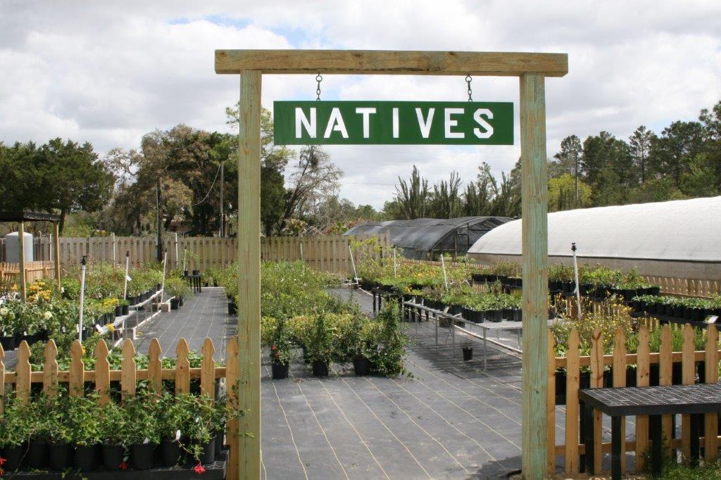 Nursery Plants Flowers Trees for Landscaping in Citrus County Florida